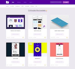 principleRepo- Collected animation assets gallery image