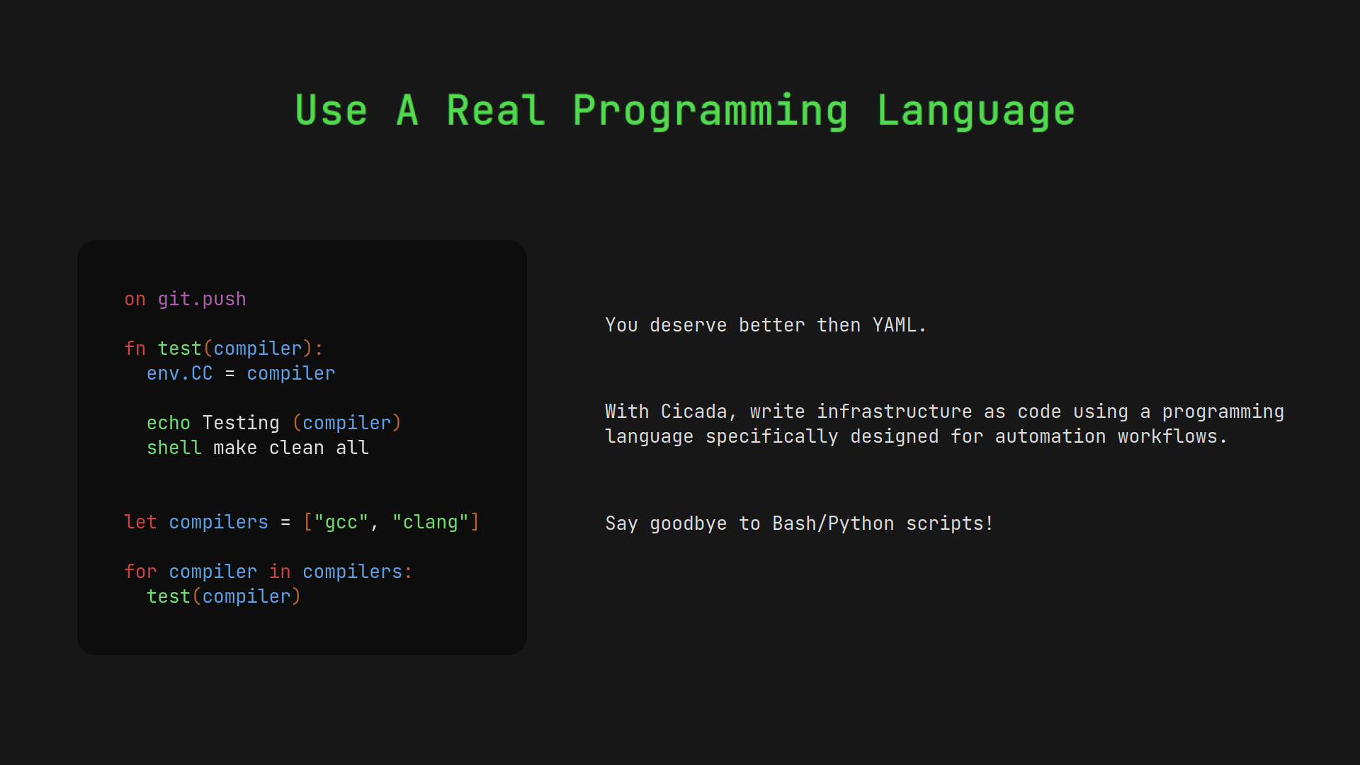 Cicada gallery image