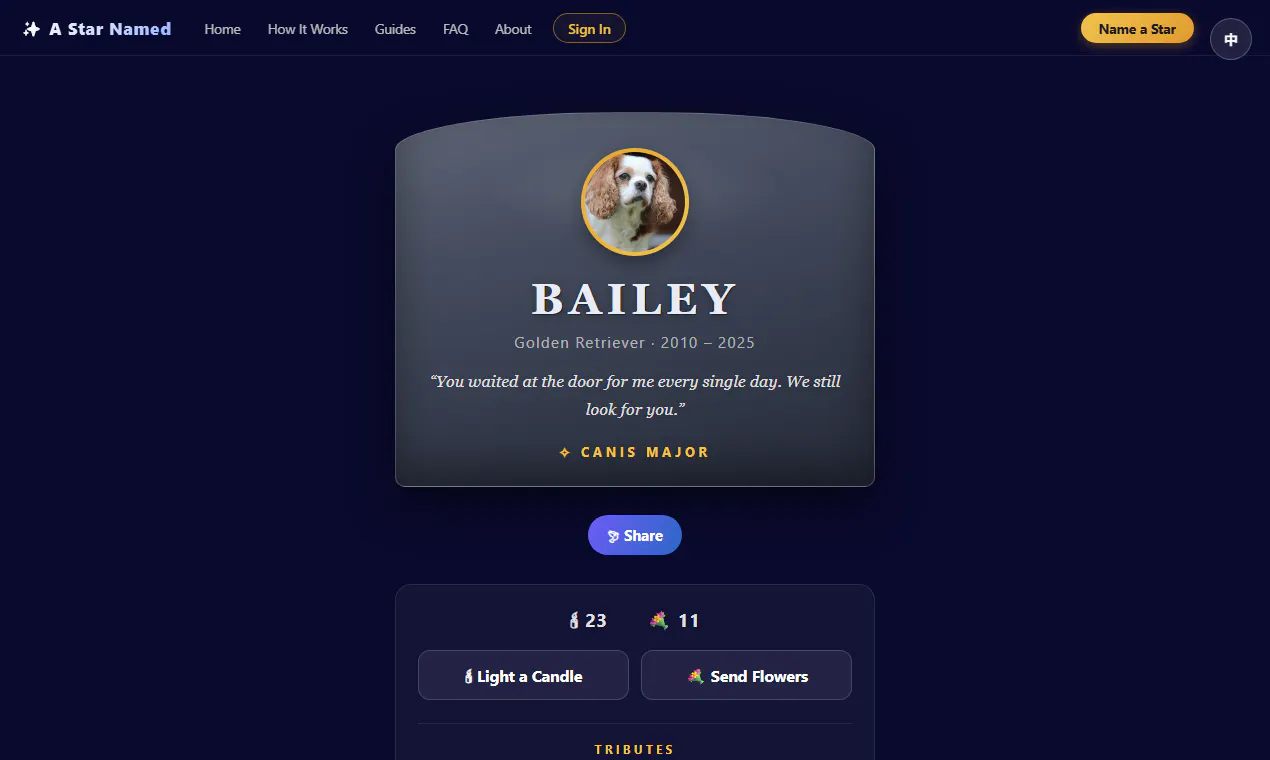A Star Named gallery image