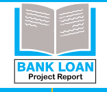 Informe del proyecto de préstamo bancario media 1