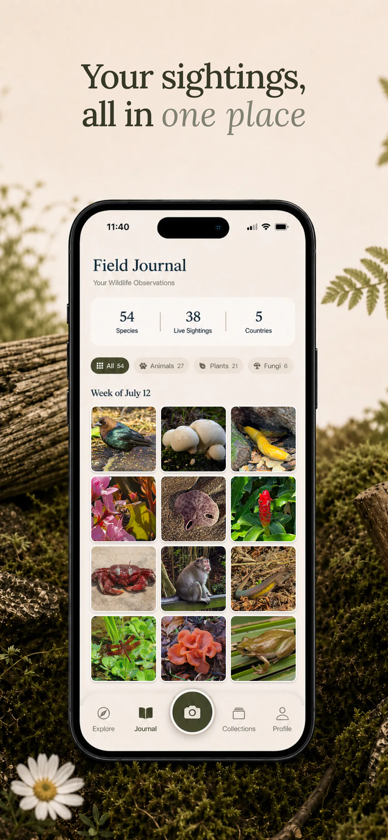 Fauna App Launch gallery image