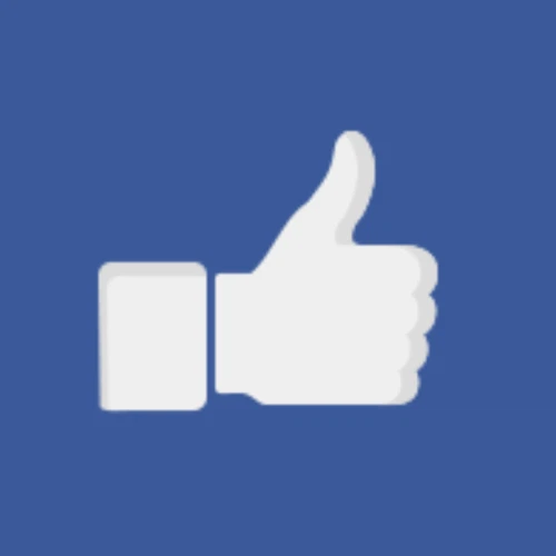 Facebook Advertising for Ecommerce Handbook by Shopify & AdEspresso