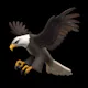 Sponsor Hawk