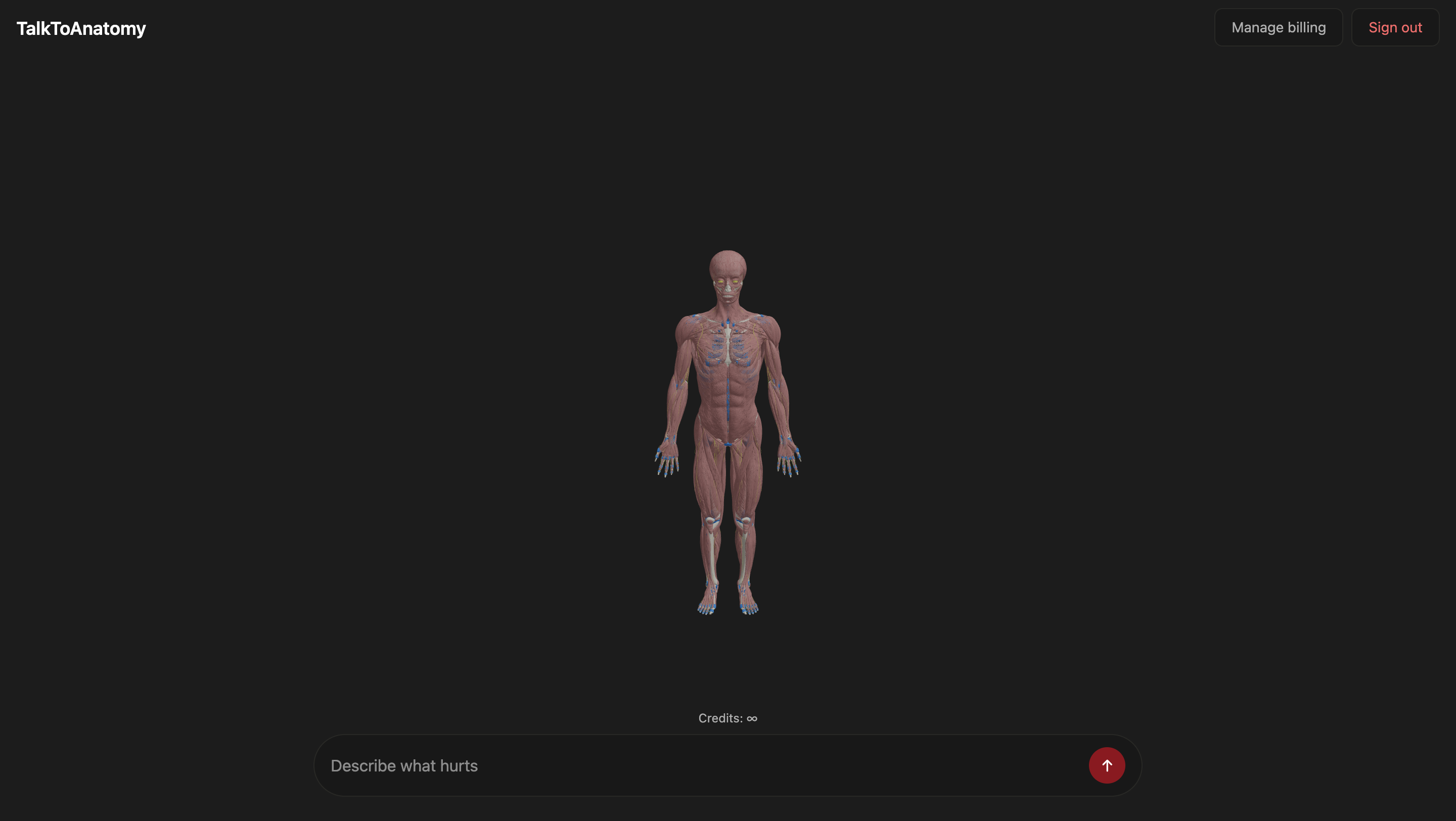 TalktoAnatomy gallery image