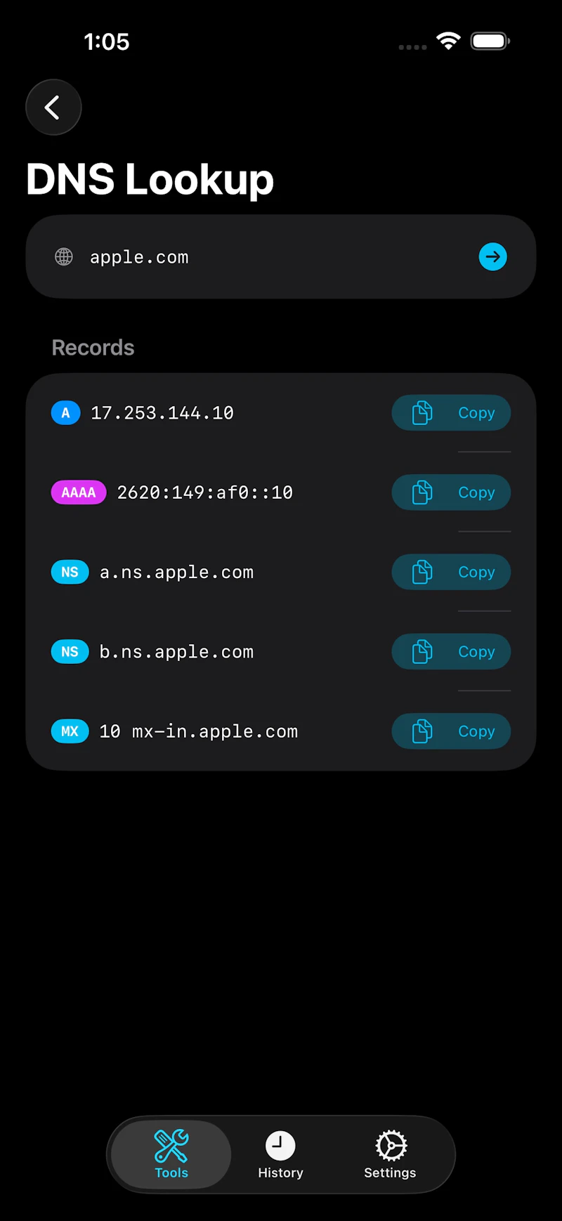 NetProbe screenshot 1