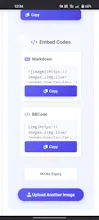 iimg.live - NoBS Anonymous Image Hosting gallery image