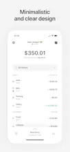 Qoin - Expenses and Incomes gallery image
