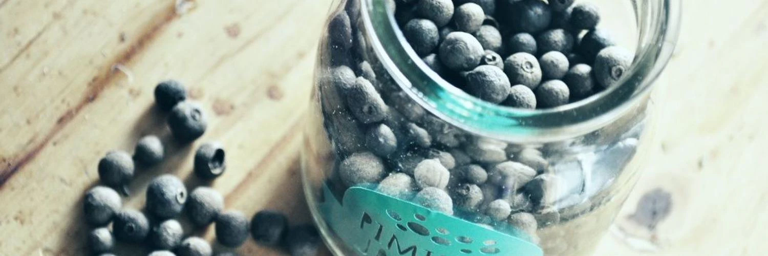 Javier Palmieri cover