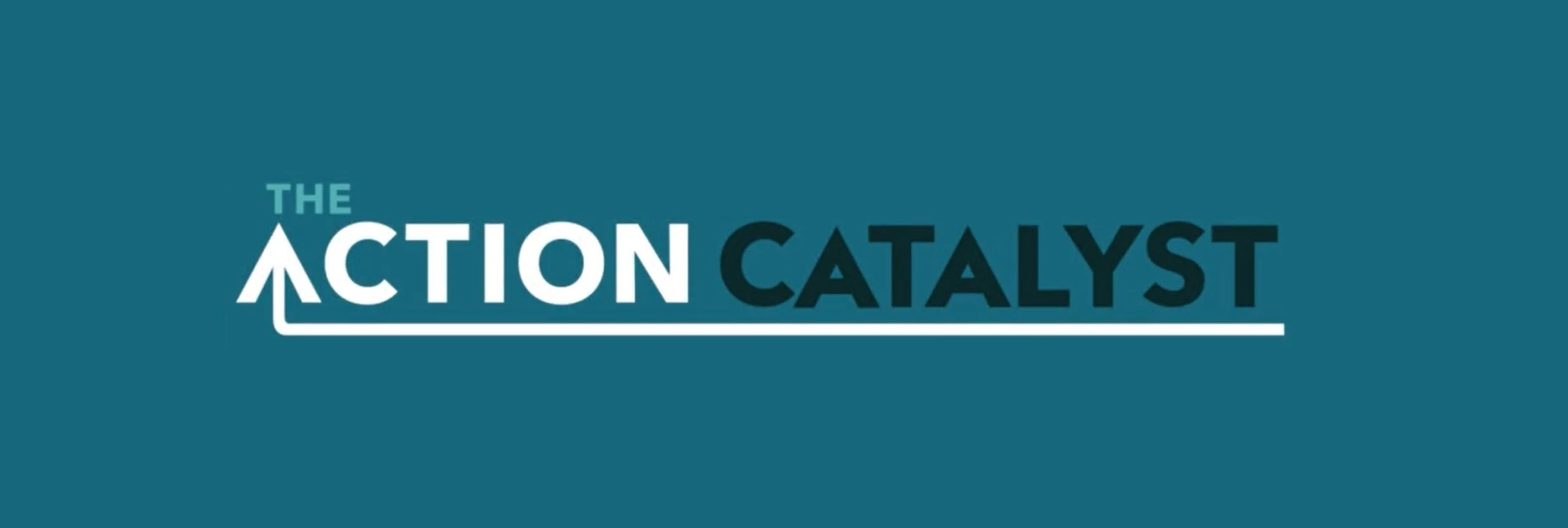 The Action Catalyst cover