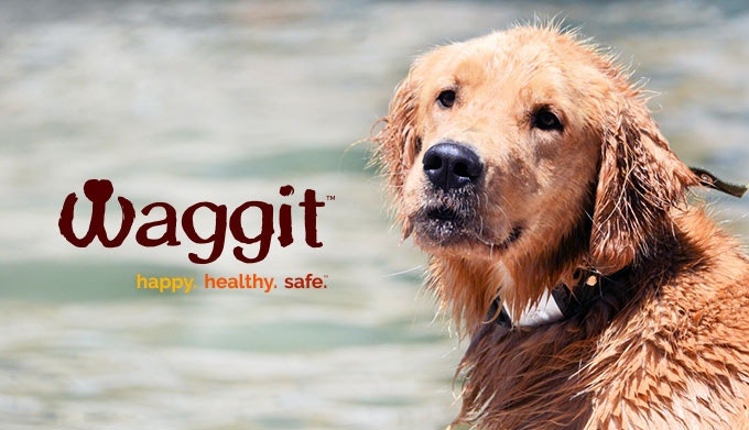 Waggit gallery image