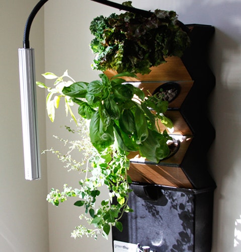 The VeggieWall gallery image