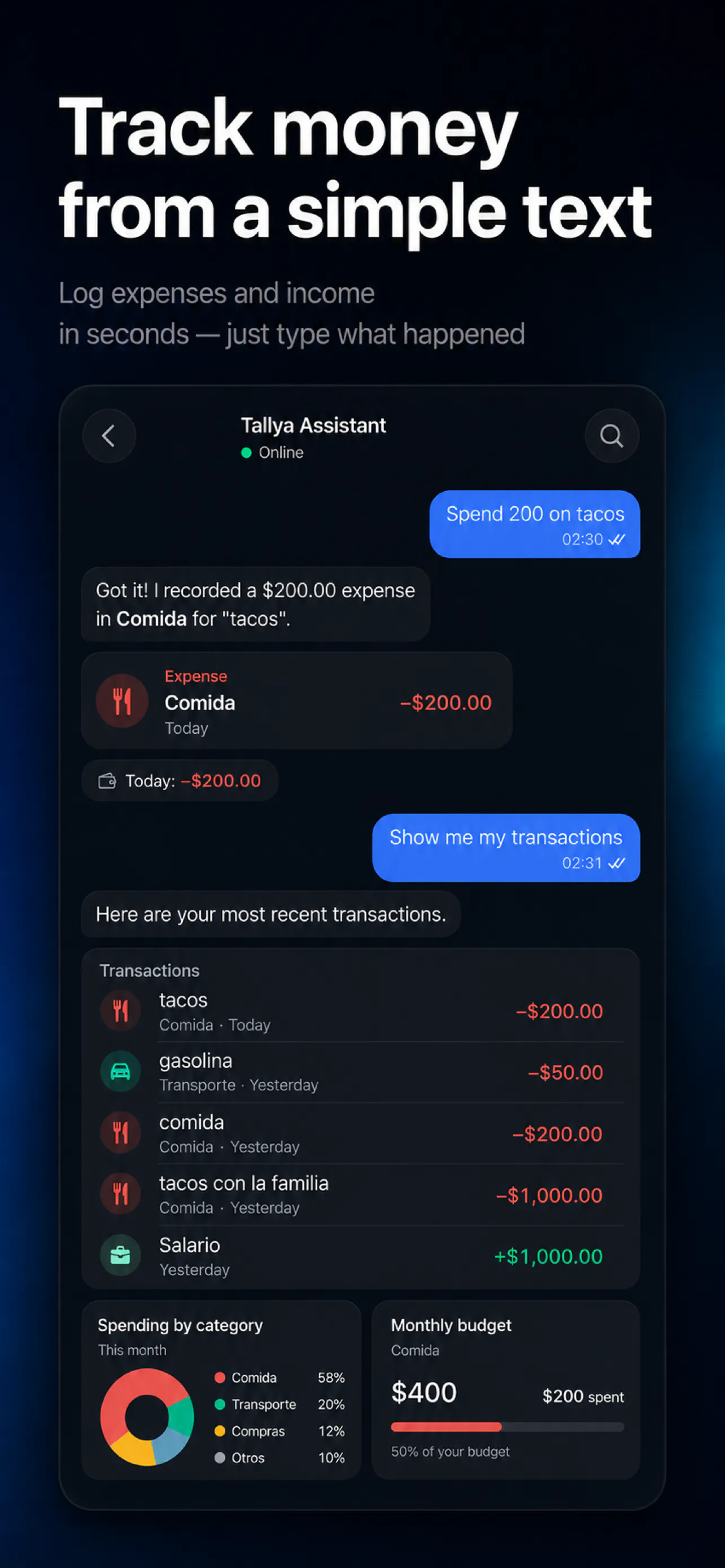 Tallya AI Money and Budget 截图 3