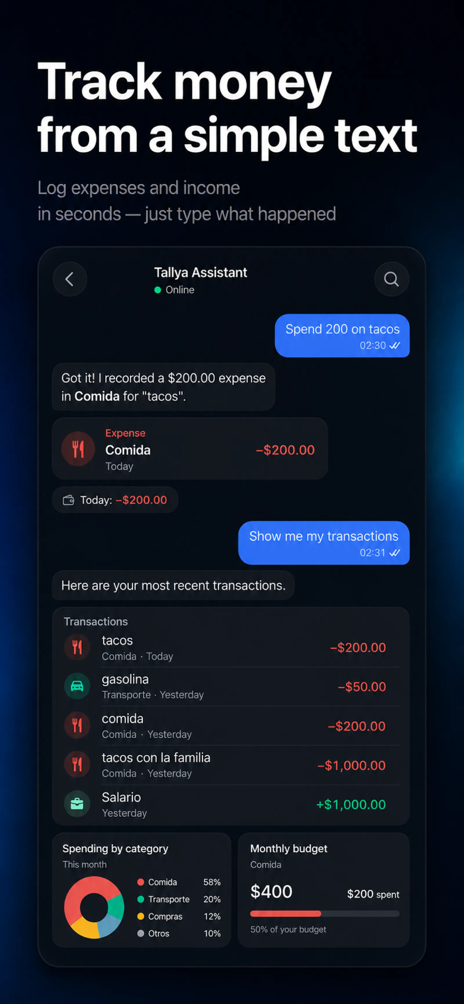 Tallya AI Money and Budget screenshot 3