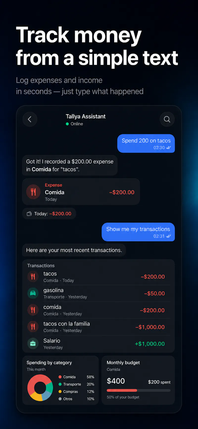 Tallya AI Money and Budget screenshot 3