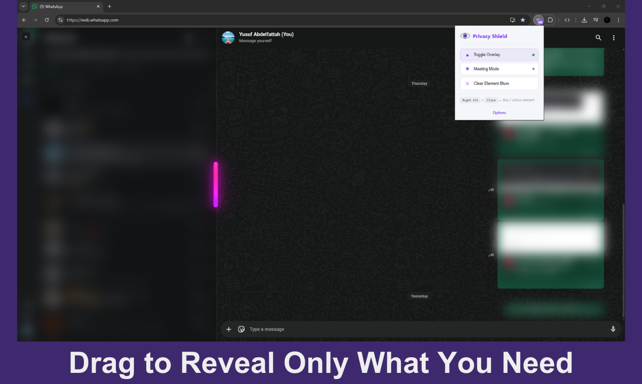 Privacy Shield gallery image