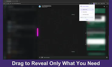 Privacy Shield gallery image