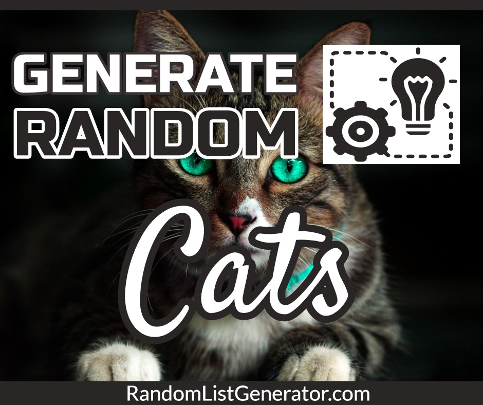 Random List Generator gallery image