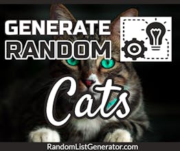 Random List Generator gallery image