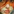 DigArt365