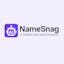 NameSnag