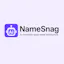 NameSnag