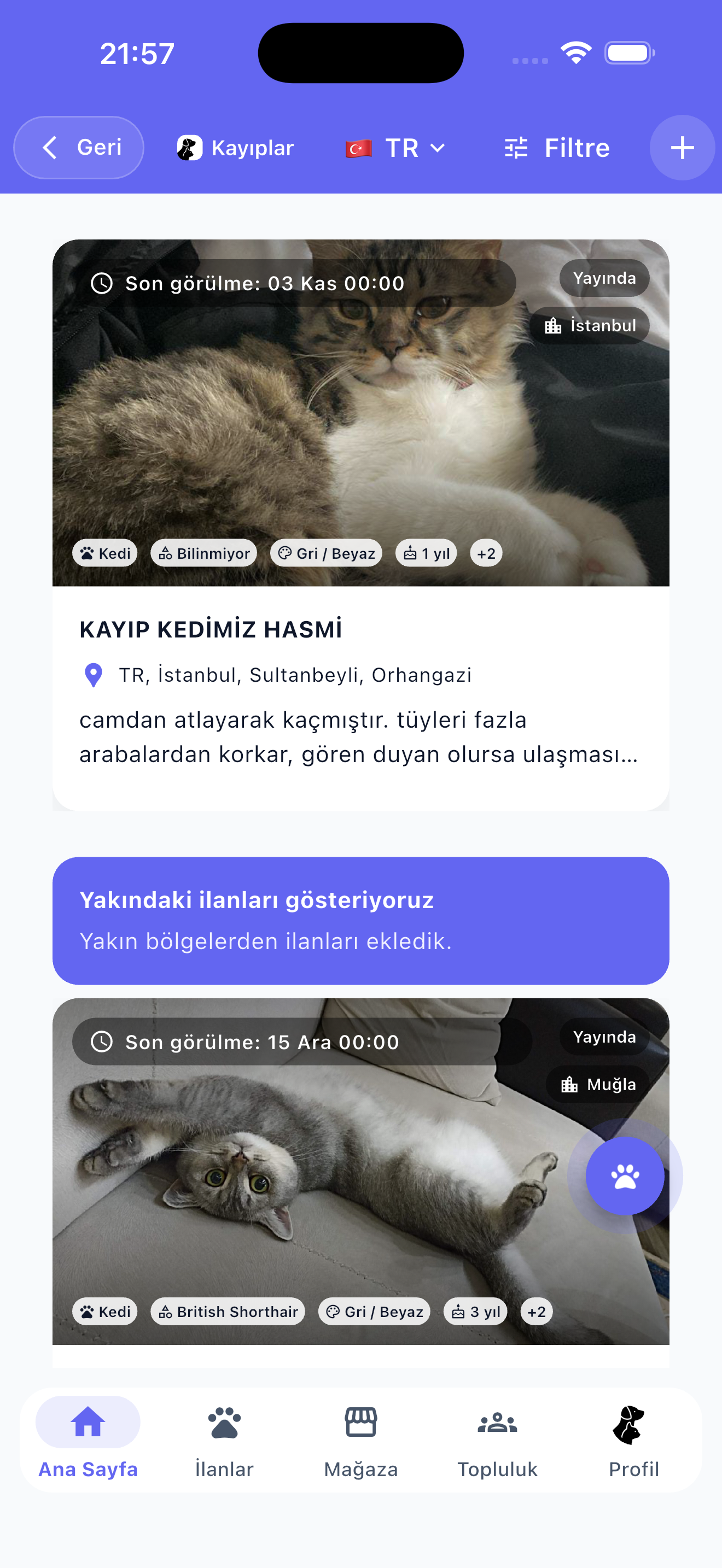 Can Dostun gallery image