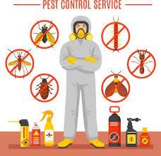 Pest control gallery image
