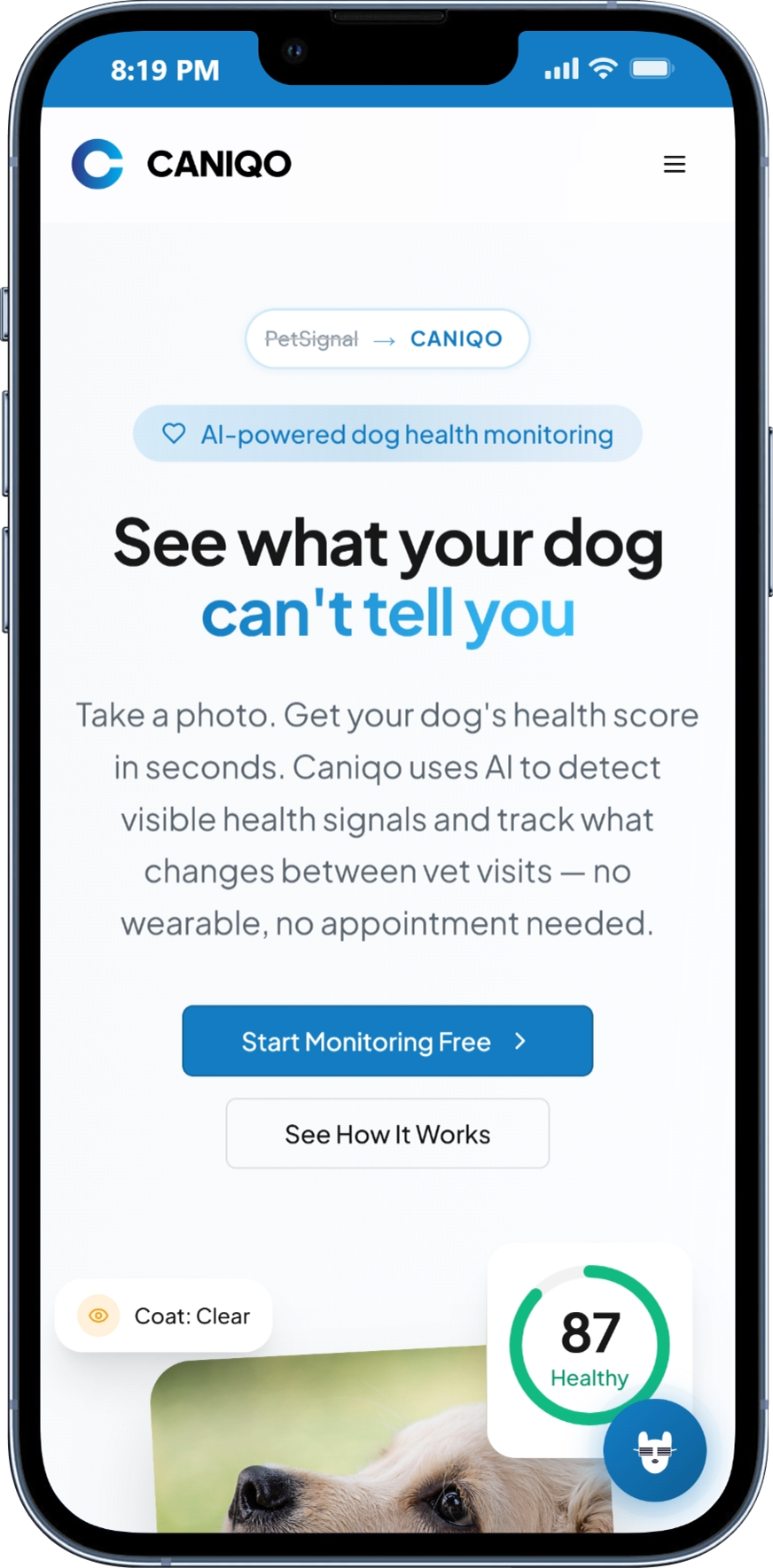 CANIQO gallery image