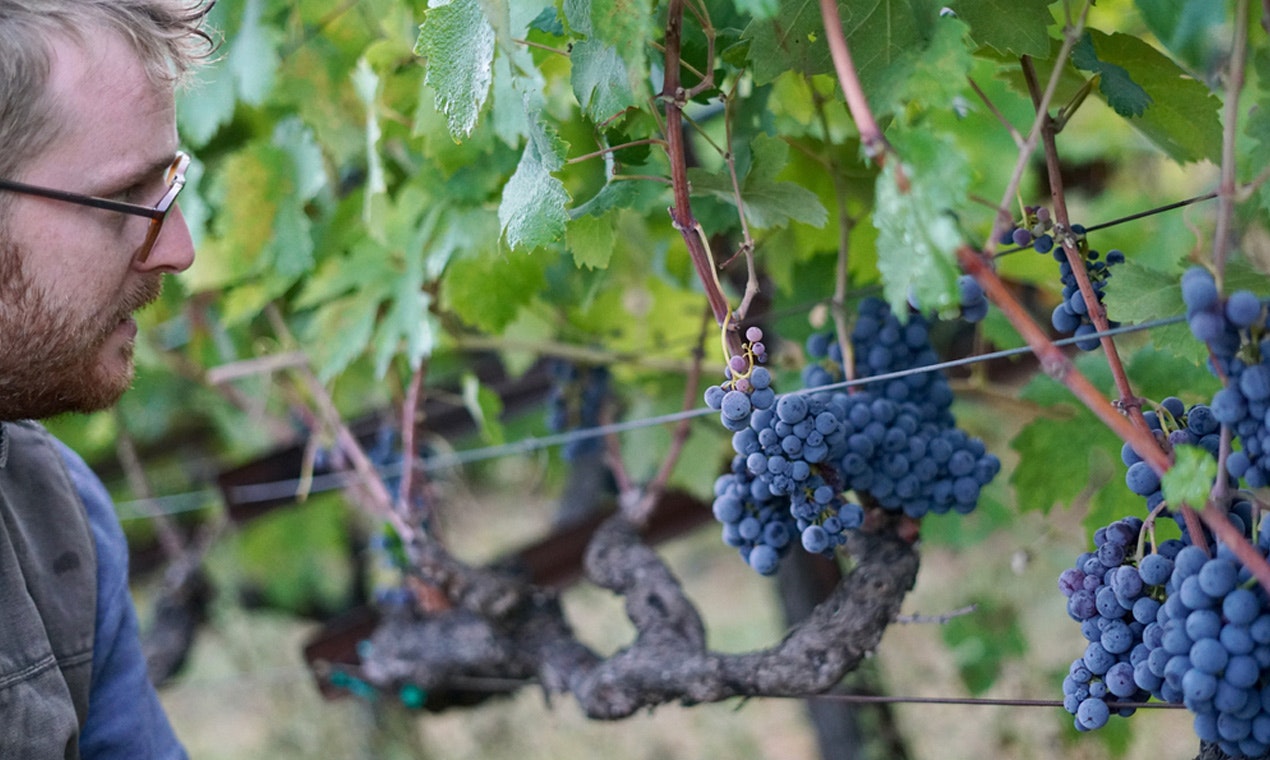 Six Figures Wine gallery image