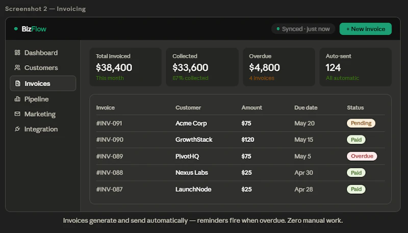 BIZFLO screenshot 2