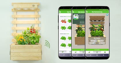 Gartenzwerg Pretty Smart Gardens gallery image