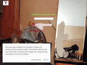 Film SEARCH gallery image