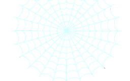 Web Spider media 3