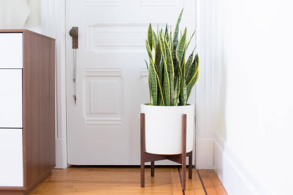 Leon & George gallery image