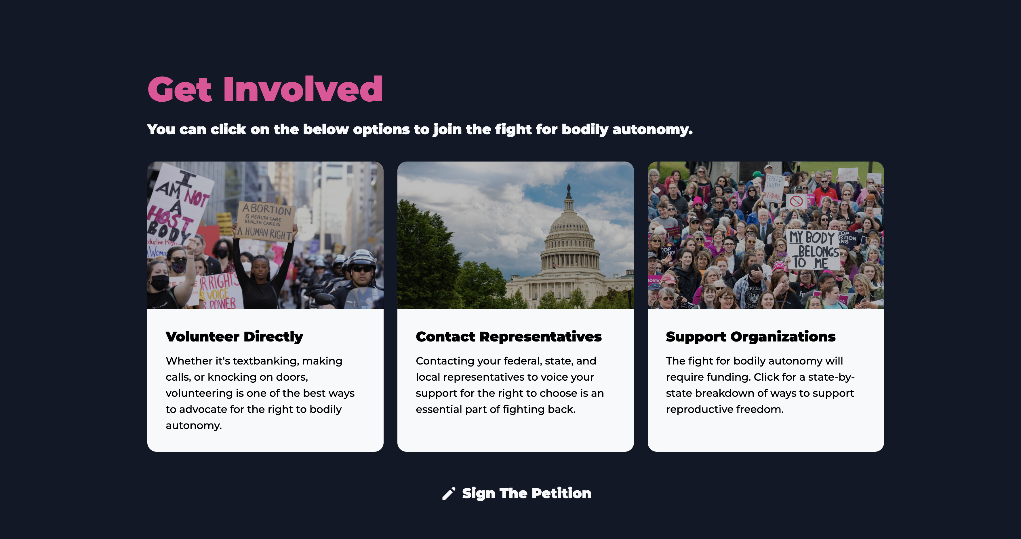 Support Bodily Autonomy gallery image