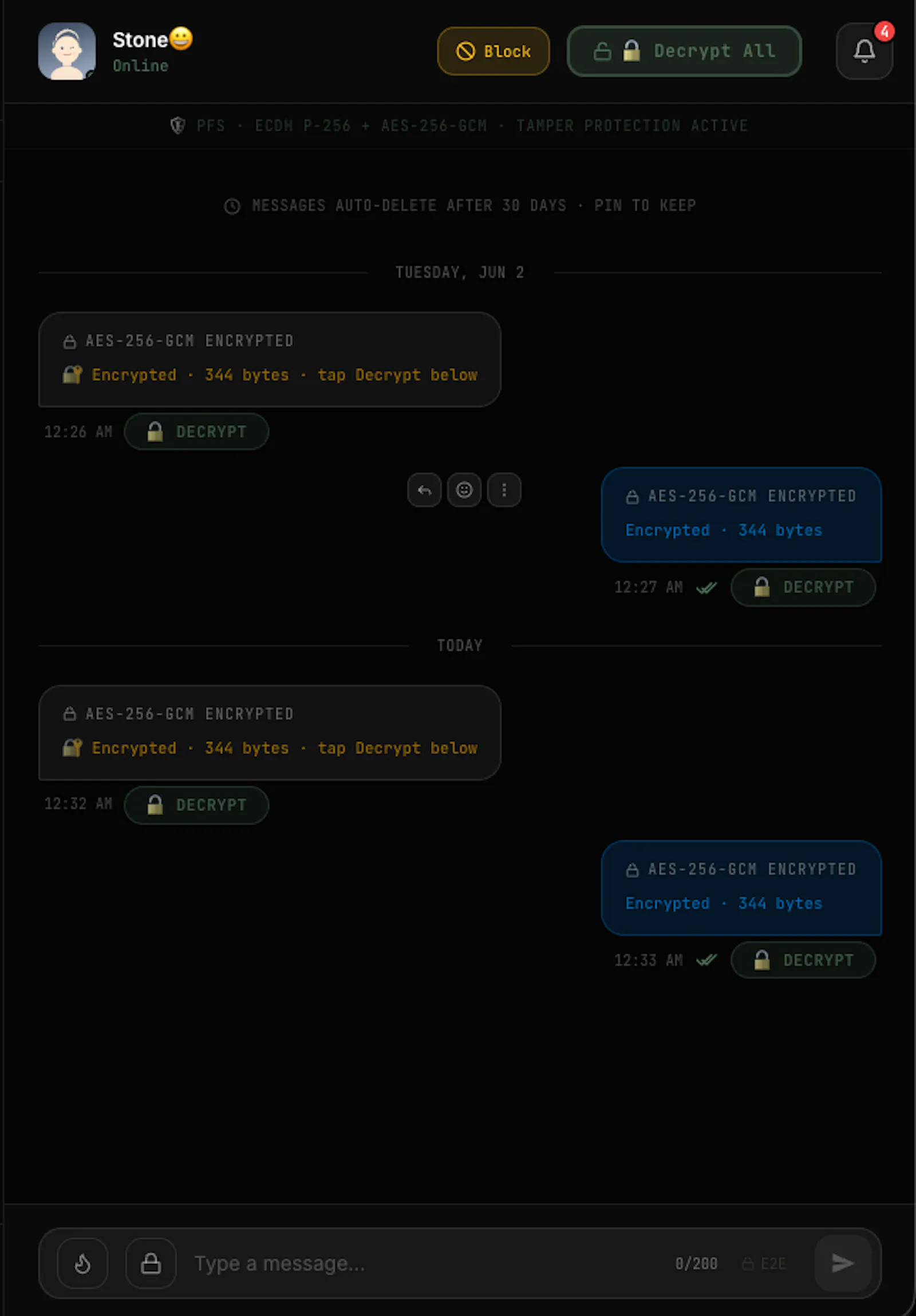 IronSeal screenshot 2