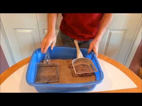 The Scoop by Tabby Town USA