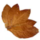 Buy Raw Burley Tobacco Leaves