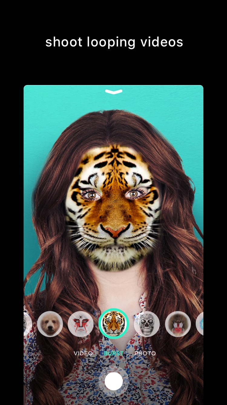 Switch gallery image