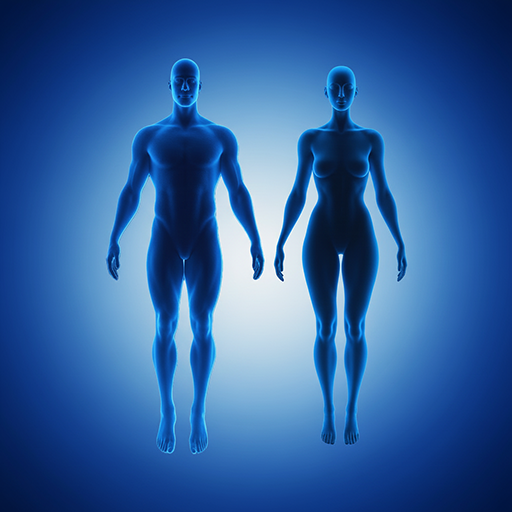 STEO  - Product Hunt launch logo and brand identity