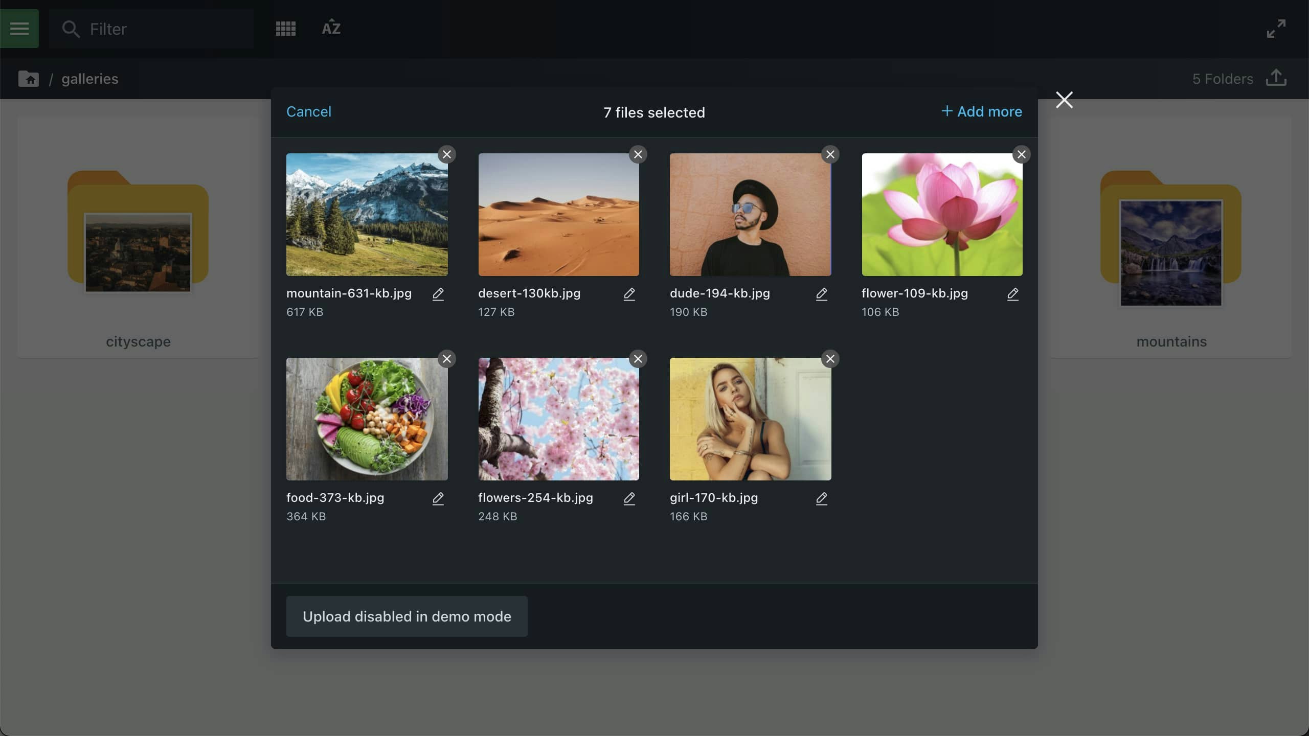 Files App gallery image