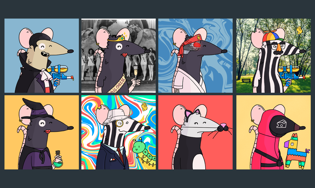 The Closet by Aww, Rats! gallery image