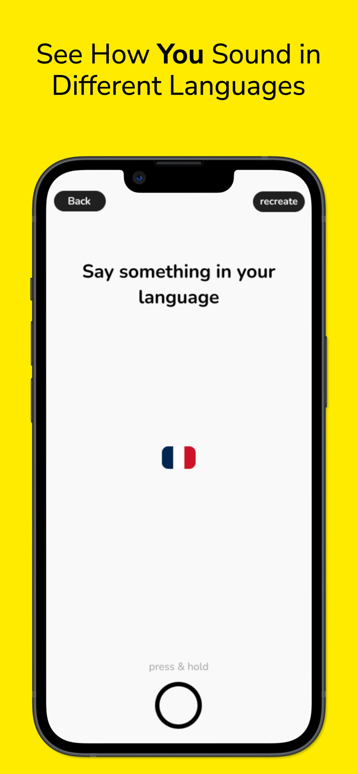 Articula gallery image