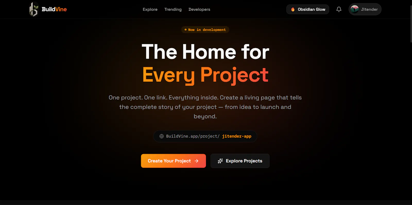 BuildVine screenshot 3