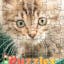 Puzzles & Jigsaws