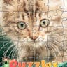 Puzzles & Jigsaws