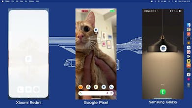 Mark - Auto Screenshot deleter gallery image