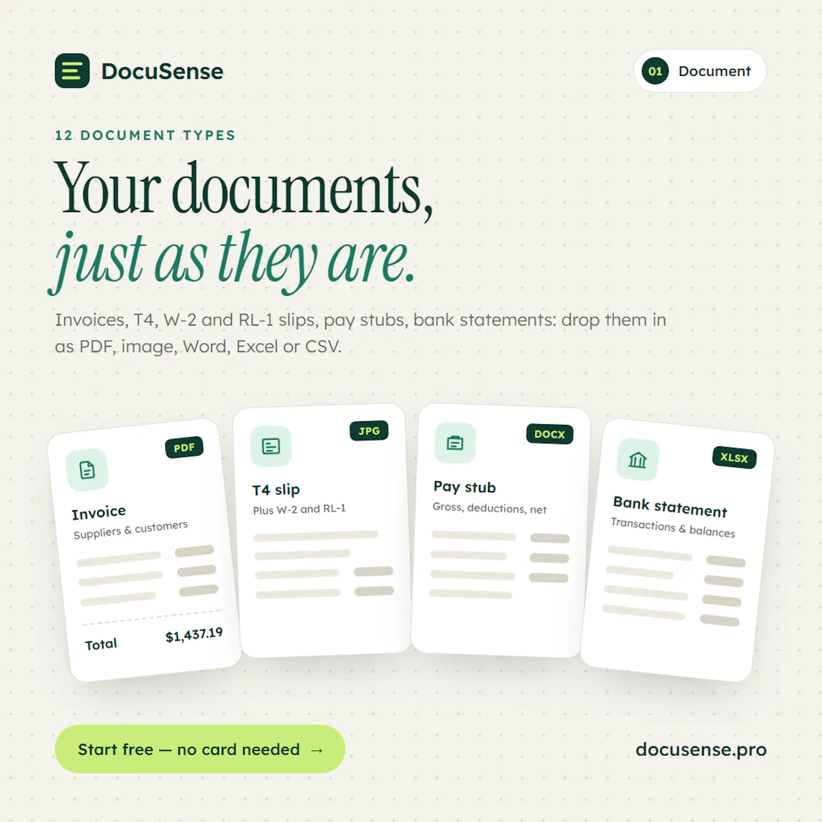 DocuSense screenshot 2