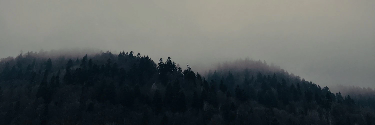 Oskar Krawczyk cover