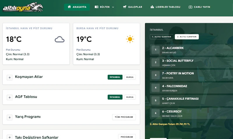 AltılıOyna screenshot 1